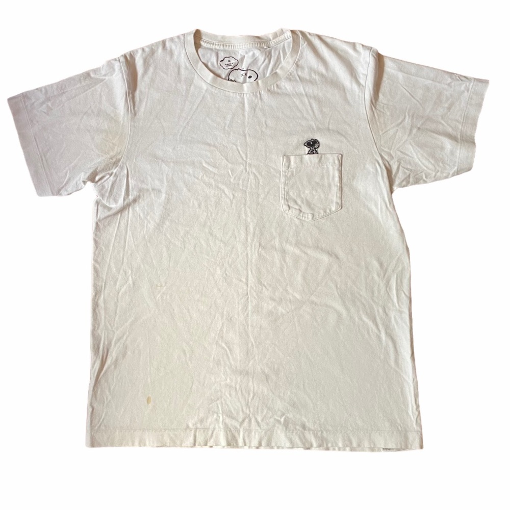 Kaws Uniqlo Shirt